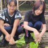 YPK Green Community (YGC)
